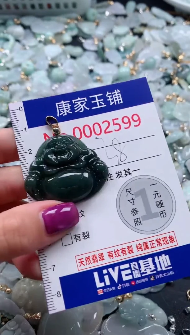颈饰未镶嵌翡翠2599