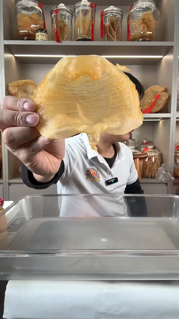 中国大陆本港赤嘴母一只59克