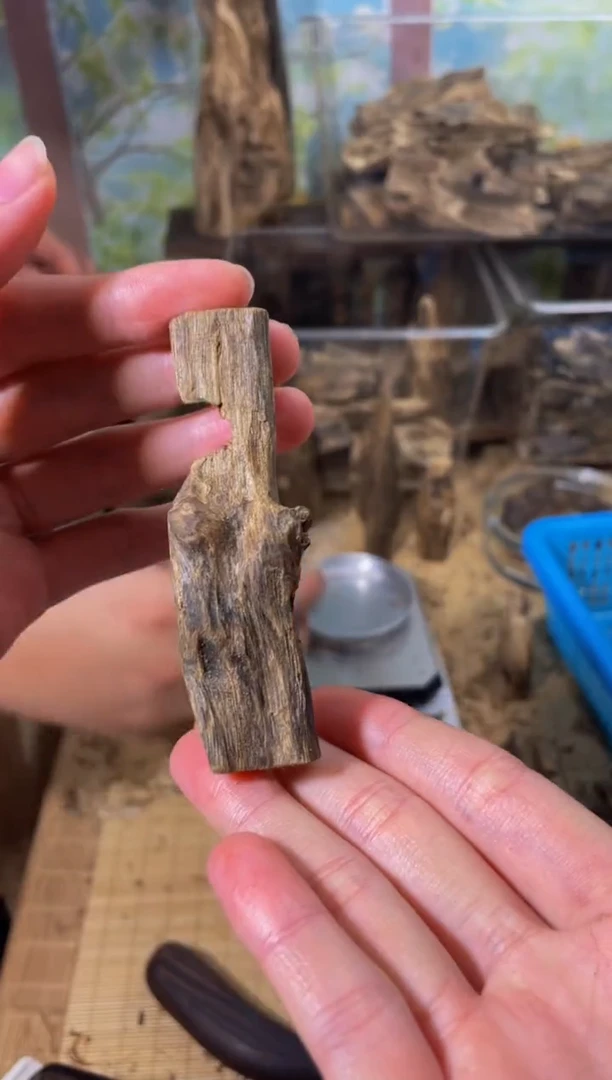 沉香碎屑沉香9克93