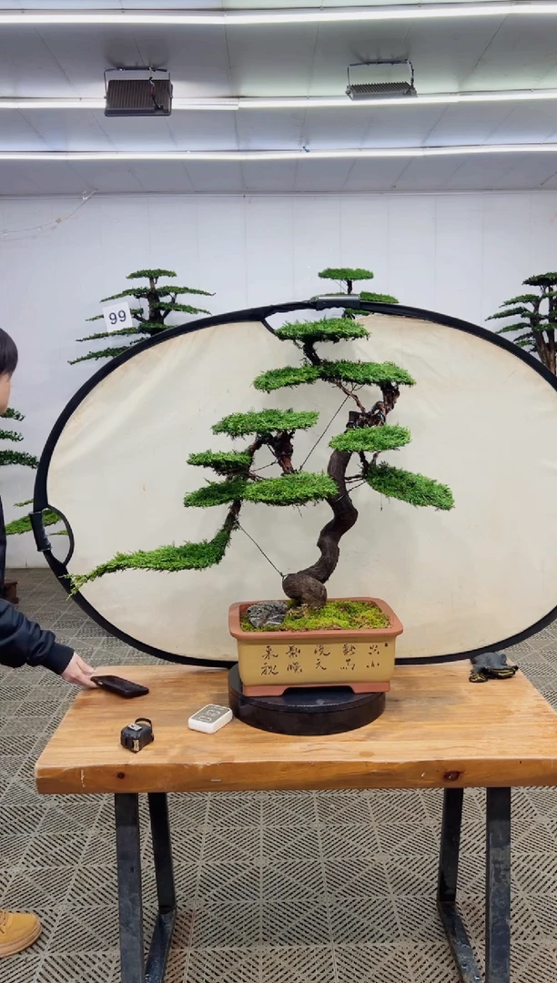 无花朵一物一拍一物一拍