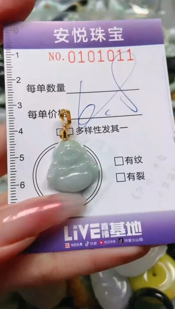 【闪购商品】翡翠颈饰未镶嵌闪购0101011