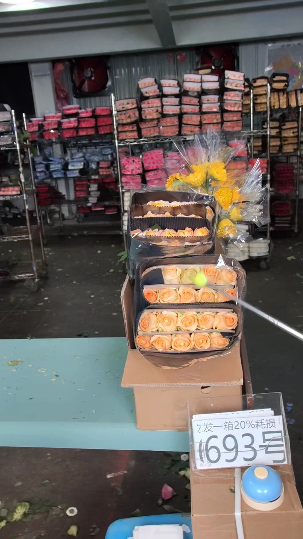 693号♥含20%耗损发一箱
