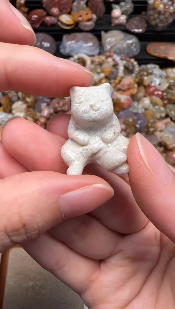 硅化珊瑚（珊瑚玉）未镶嵌颈饰662