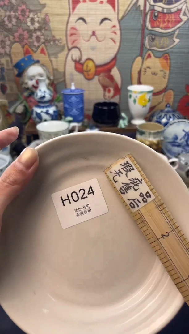 瓷片大**?     H024