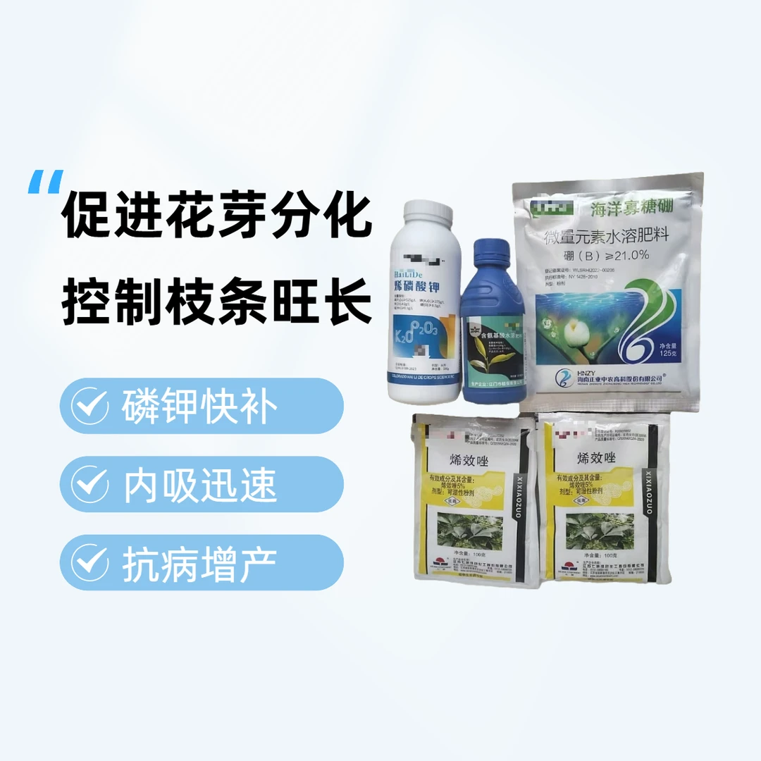 天邦促花宝 （升级版）