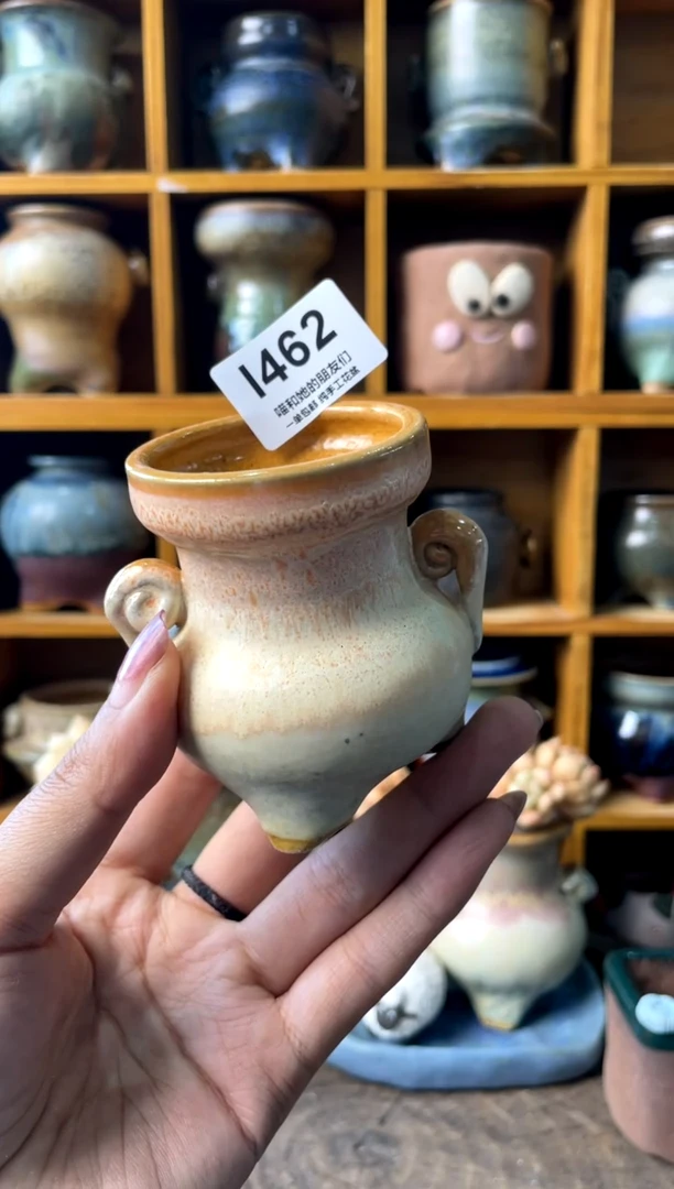 462内口4.5【多肉花盆多肉盆】