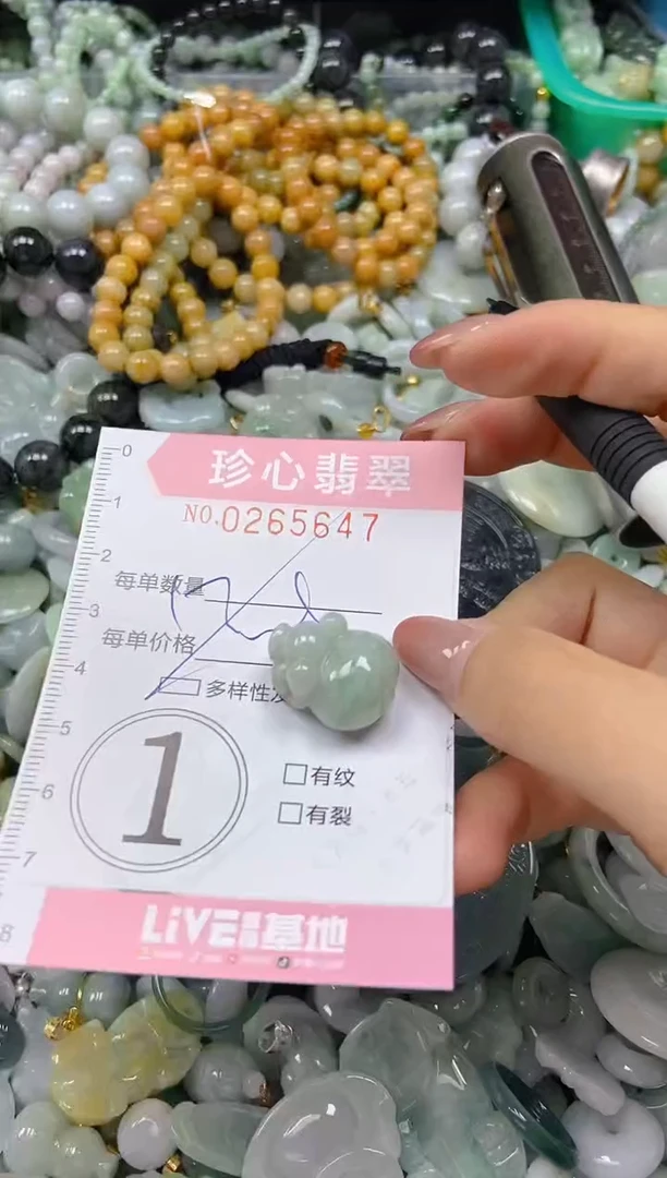 翡翠未镶嵌颈饰闪购0265647多样性发其一