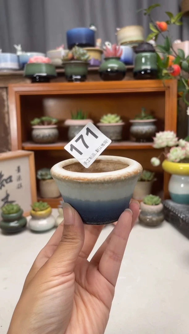 瓷片171知木小芳花盆
