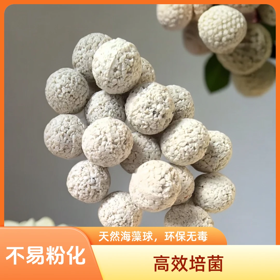 鑫泓创鱼缸过滤培菌细菌过滤净水小球白原矿球5斤滤材过滤滤材