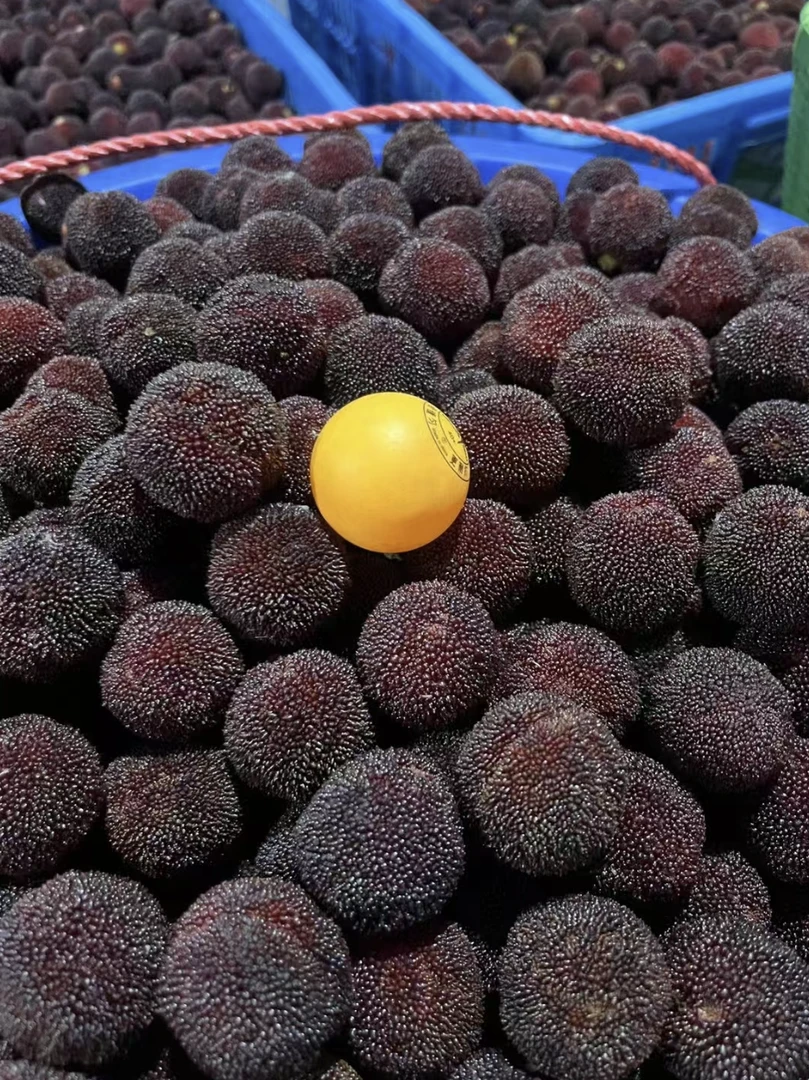 【9A果6斤东魁】仙居东魁杨梅孕妇水果新鲜采摘现发冷链