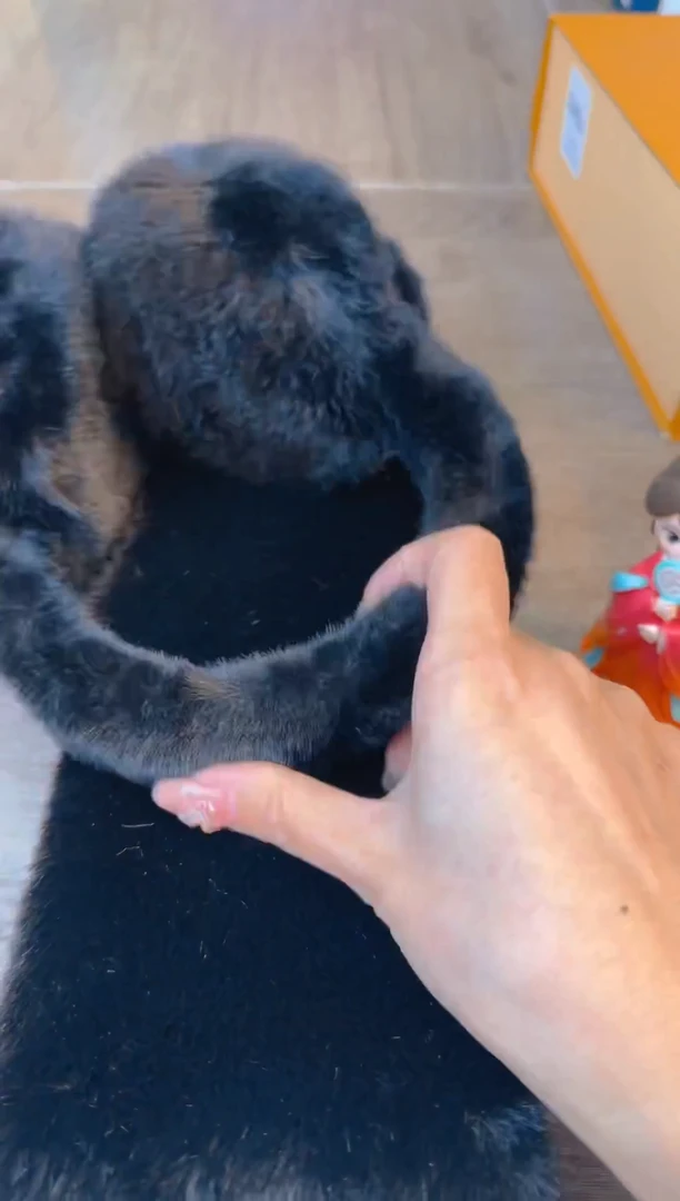 瓷片认准小满买正品@@CQ2987