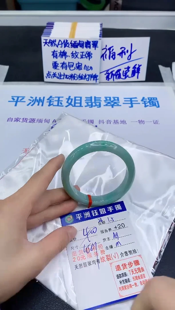 未镶嵌手镯翡翠11111