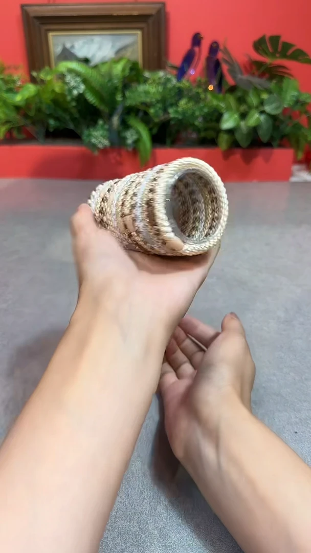瓷片T杯杯杯杯杯杯杯杯杯杯杯杯