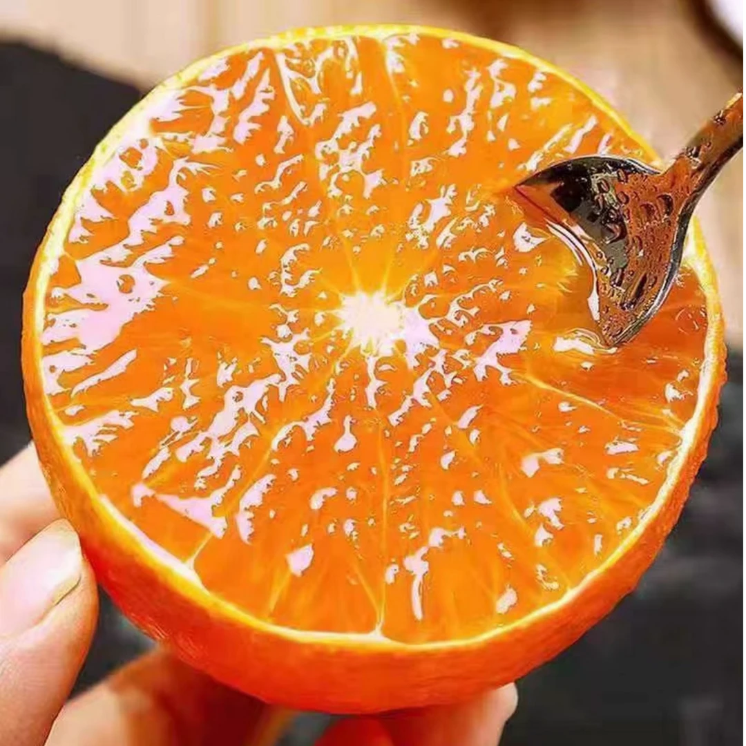 三宝爸甄选 爱媛果冻橙连箱约重6斤