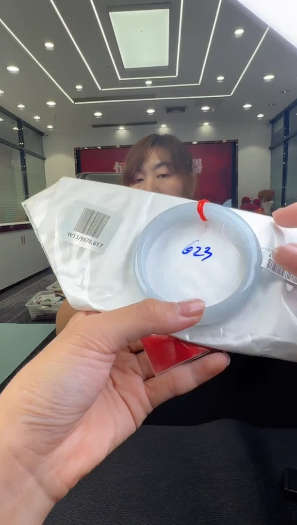 翡翠未镶嵌颈饰手镯59