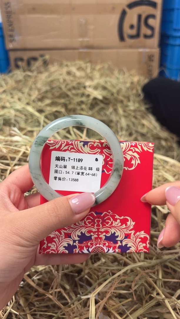 未镶嵌手镯石英质玉T-1189