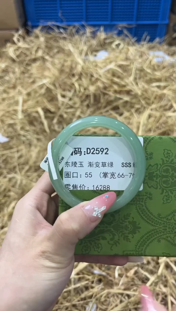 未镶嵌手镯石英质玉D2592