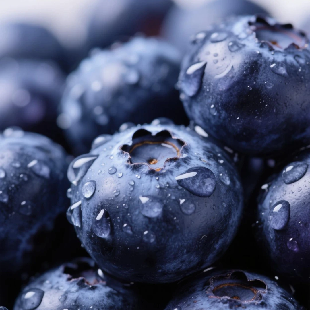 露天花香蓝莓高山种植净单盒/100g头茬净果顺丰发货