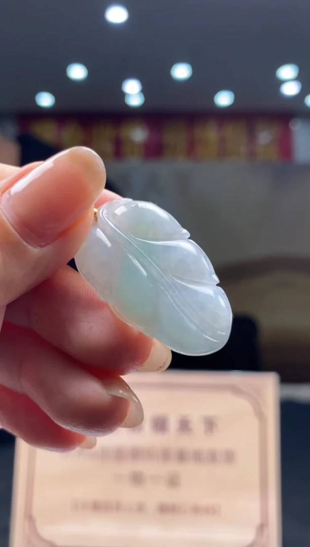 【闪购商品】翡翠颈饰未镶嵌********7