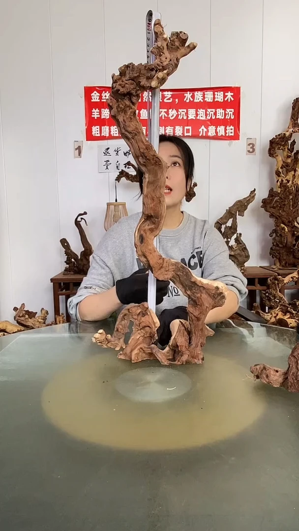 香榧木用****5金丝红木 羊蹄甲