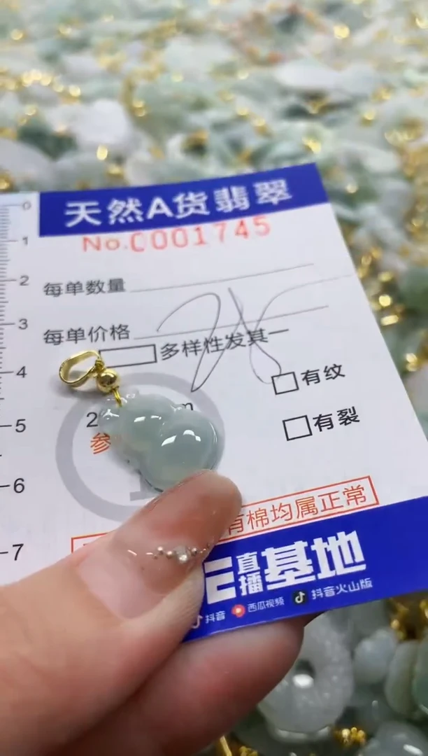 颈饰未镶嵌翡翠天然A货翡翠