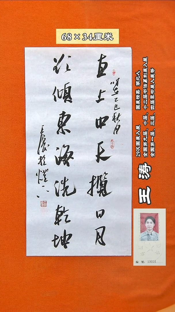 书法232R王涛书法作品