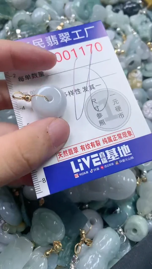 翡翠未镶嵌吊坠(不含链)1170