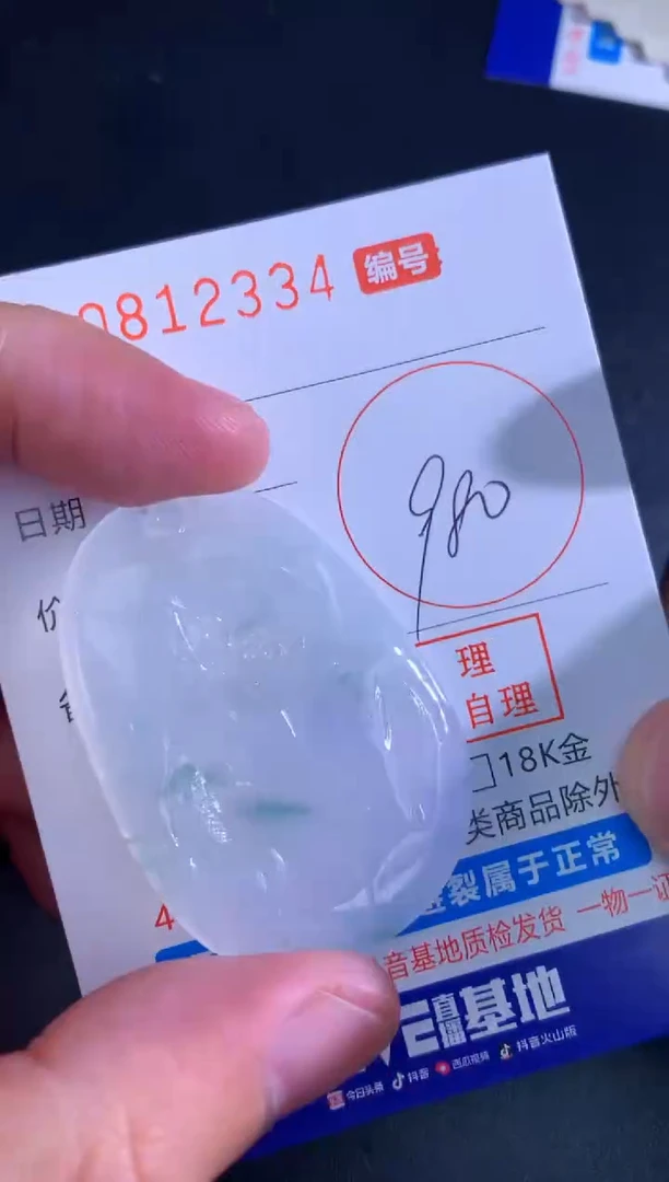 翡翠未镶嵌颈饰天然A货翡翠