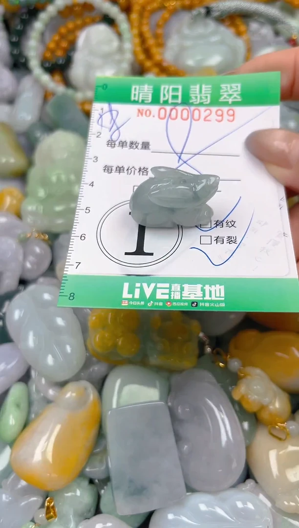 颈饰未镶嵌翡翠闪购0000299