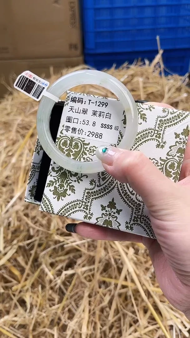 未镶嵌手镯石英质玉T-1299