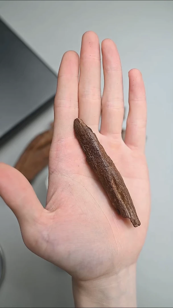 沉香手把件富森红土沉水8.1g