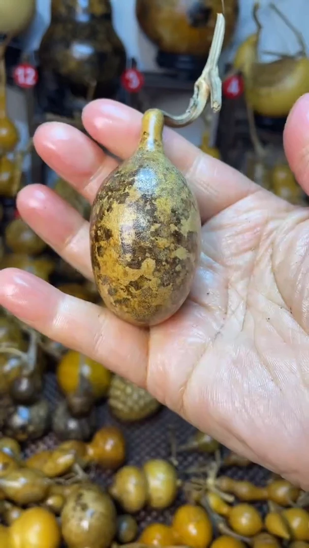 【闪购商品】葫芦葫芦葫芦好葫芦葫芦