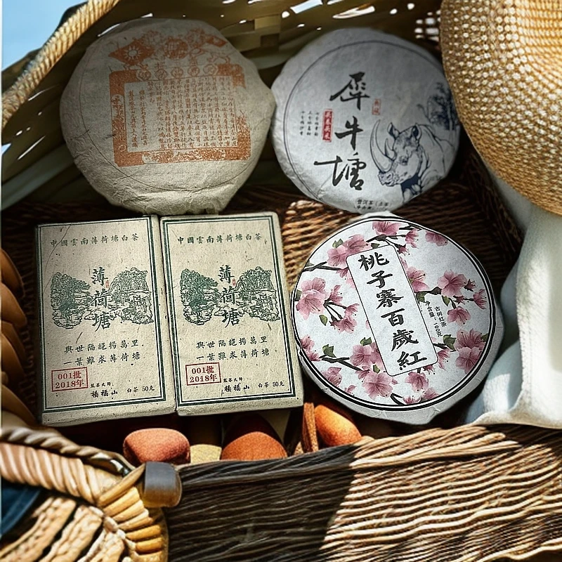 【晶晶严选】新粉好茶打窝套装 生熟红白套装100g 普洱茶