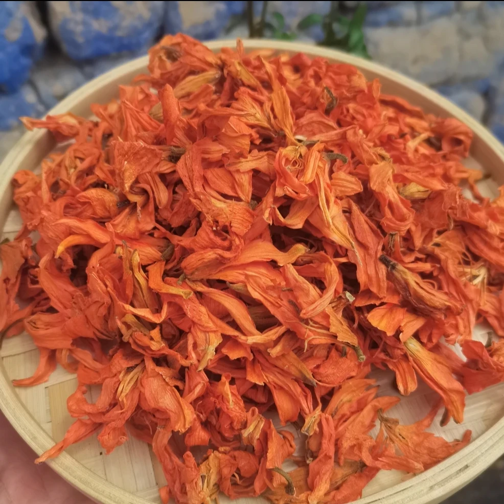 高山高海拔帝王花缅王花 250克