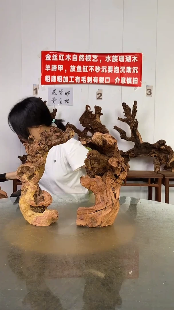 香榧木小*伟金丝红木   羊蹄甲2