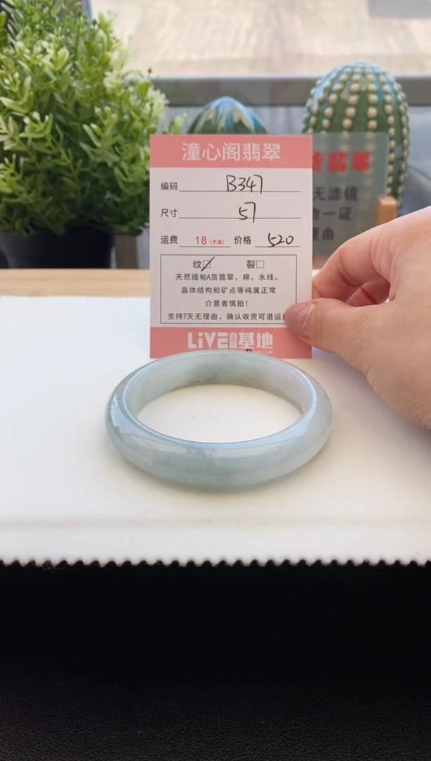 未镶嵌手镯翡翠57圈口 编码 B347