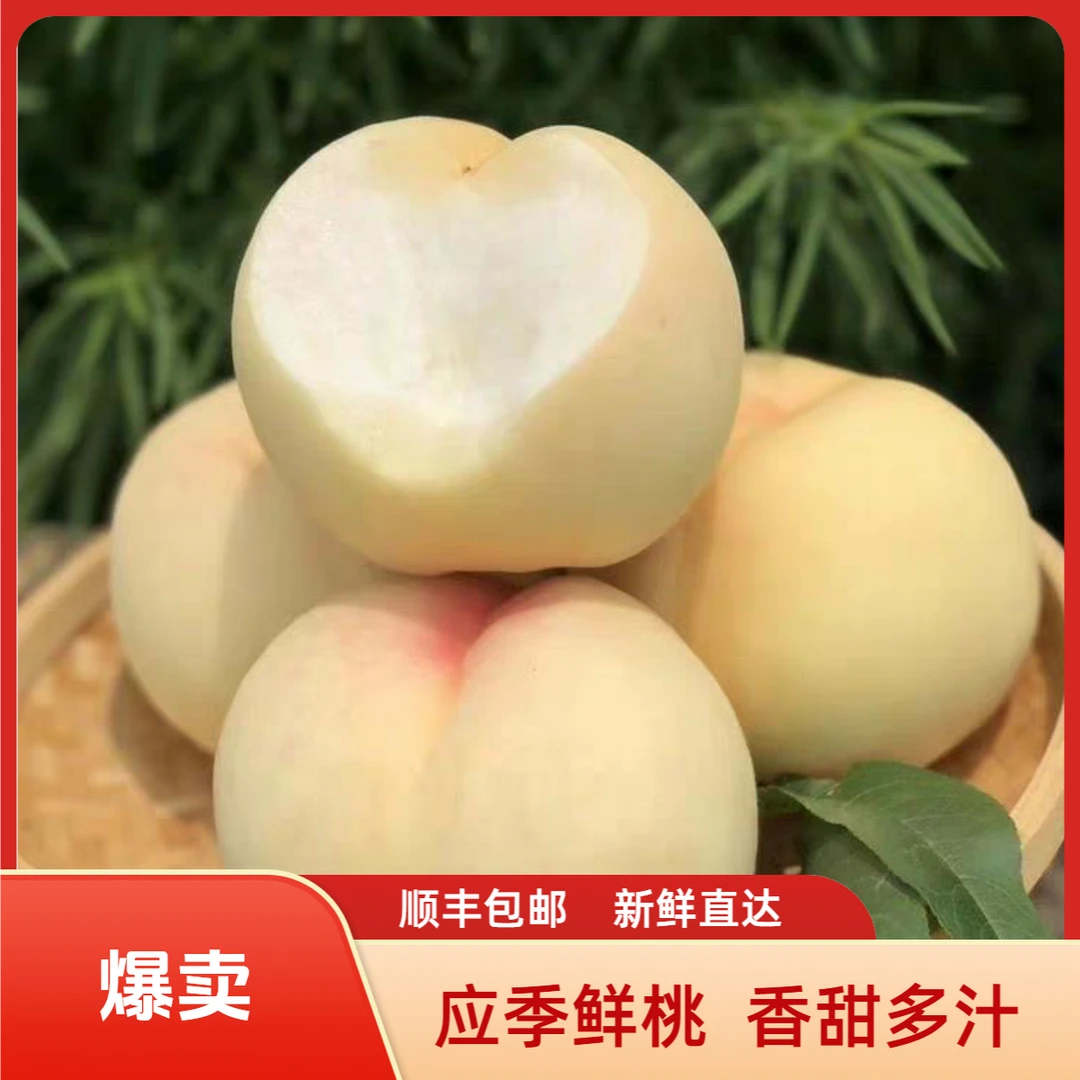 【顺丰包邮】江苏冬桃应季巨无霸冬桃雪桃大白桃现摘现发江苏省