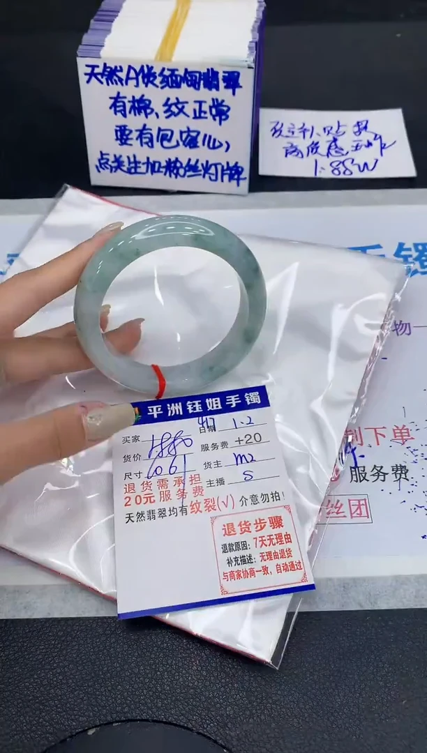 未镶嵌手镯翡翠1