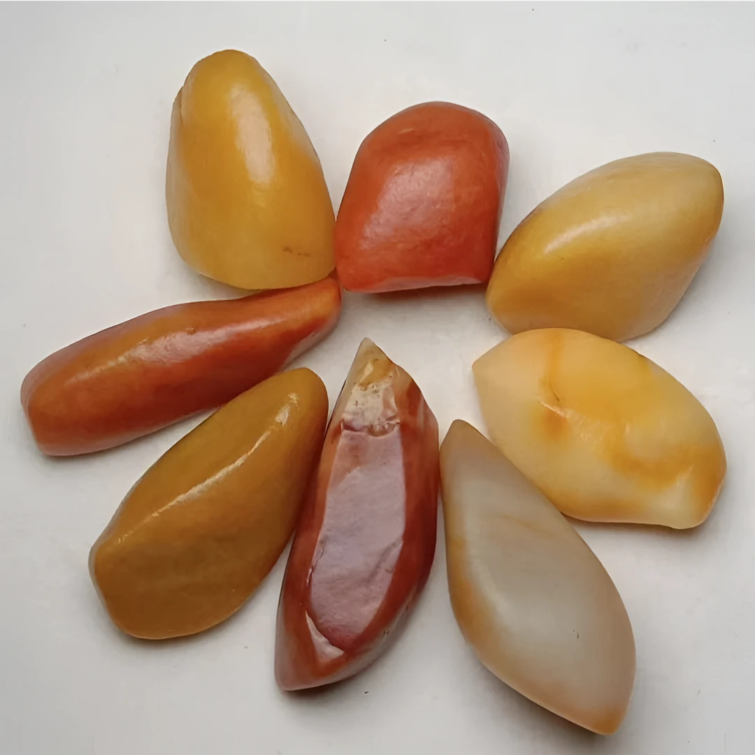 新疆戈壁三彩盆景石 黄蜡石 三彩石 泥石 【一物一拍，多样性发货】