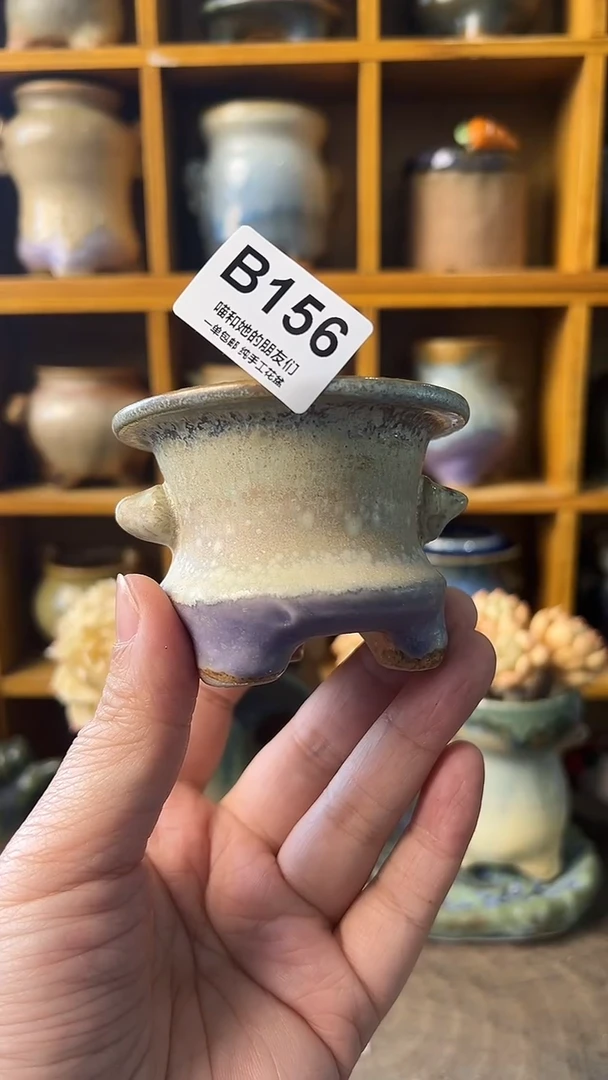 156 内口5.5【多肉花盆多肉盆】