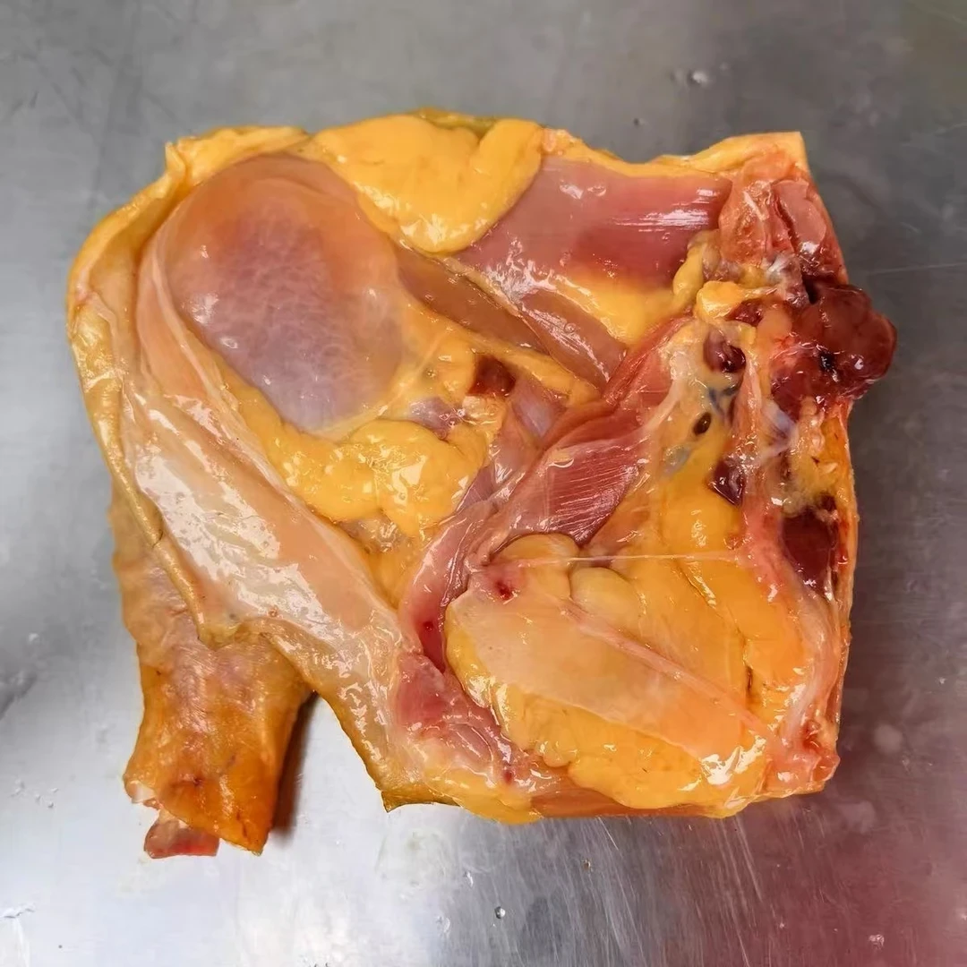 鸡腿五斤（四到五个）顺丰包邮 包冰率不含冰