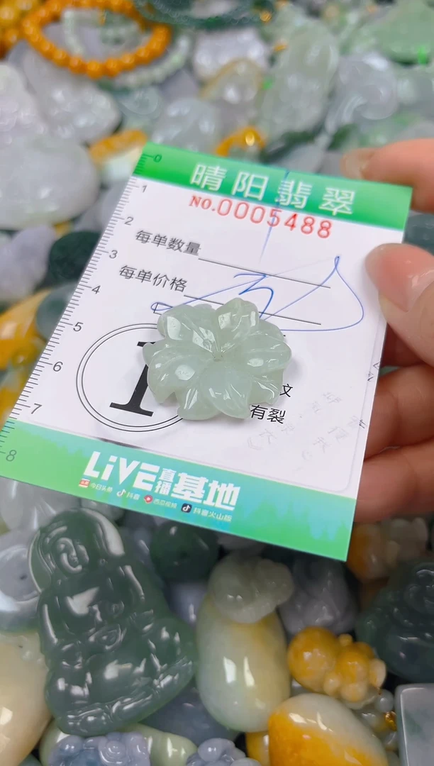 翡翠未镶嵌颈饰闪购0005488多样性发其一