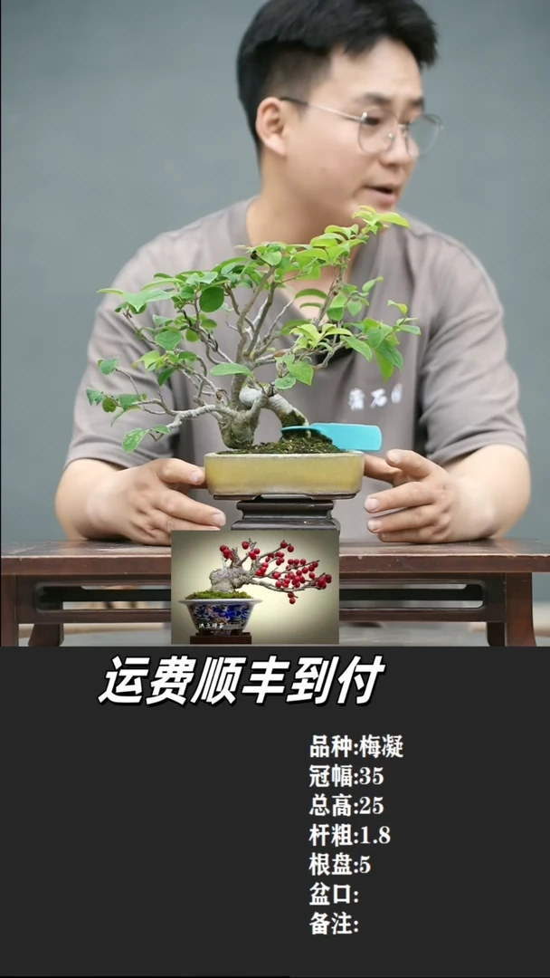 大*22 梅凝