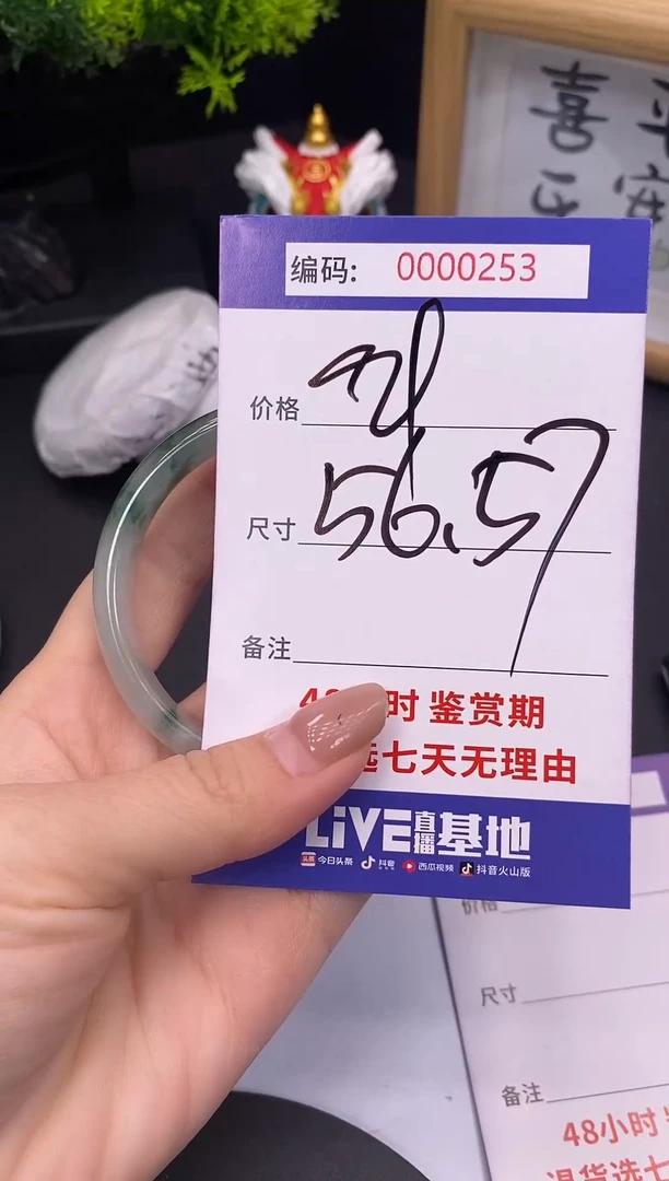 未镶嵌手镯翡翠0000253