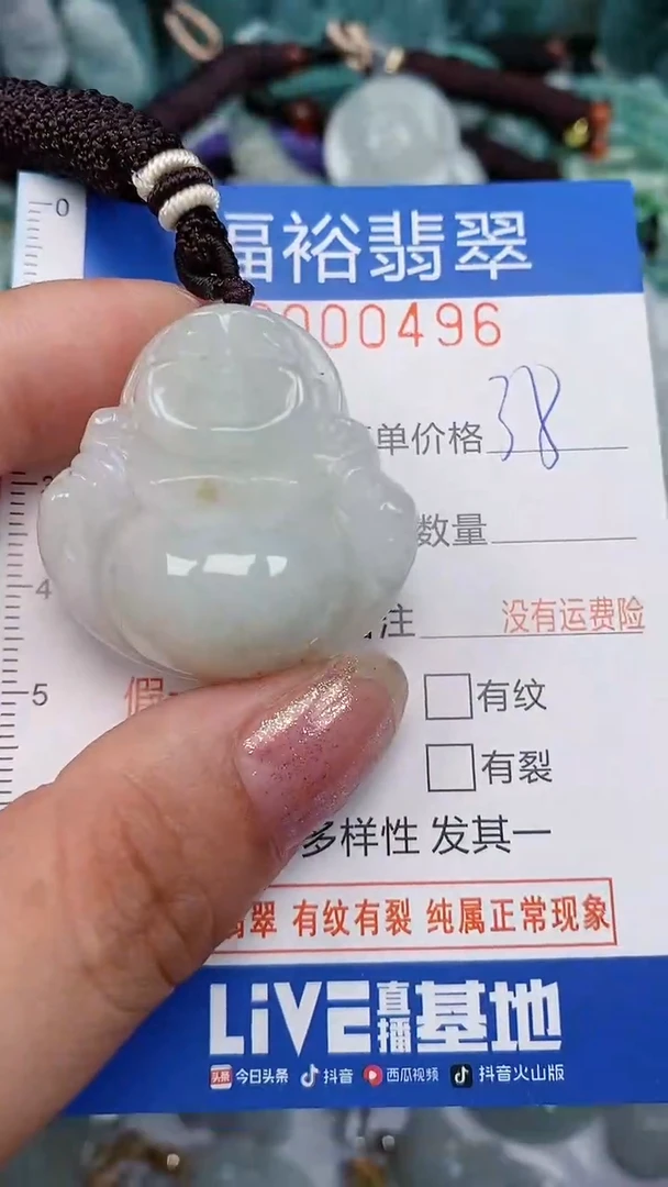 翡翠未镶嵌颈饰...0000496