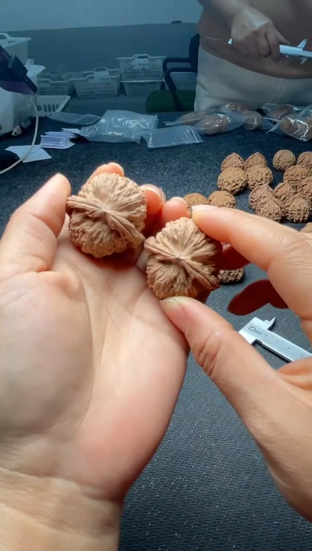 把件文玩核桃w172  白狮子39尺