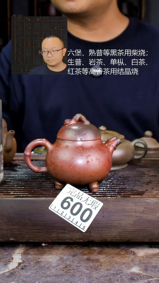 壶四大名陶钦州坭兴陶600
