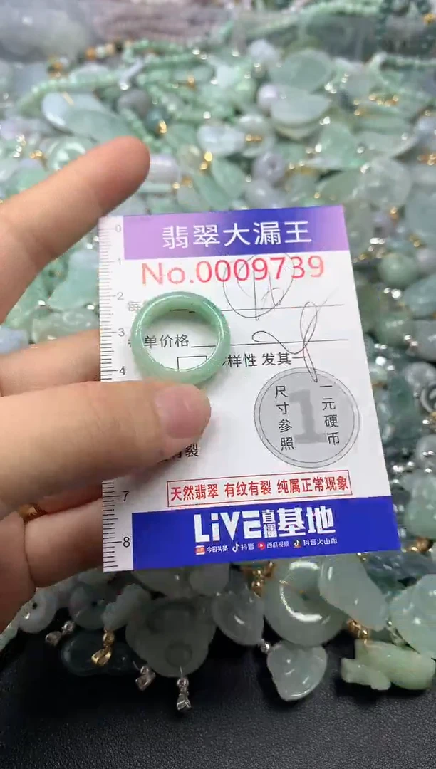 翡翠未镶嵌吊坠(不含链)9739