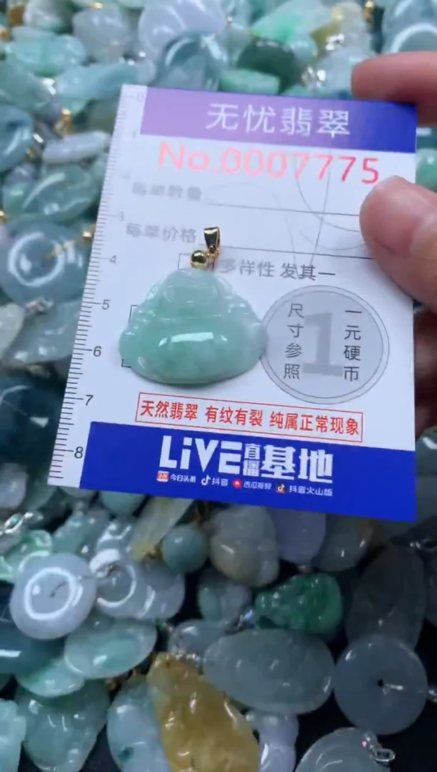 颈饰未镶嵌翡翠7775