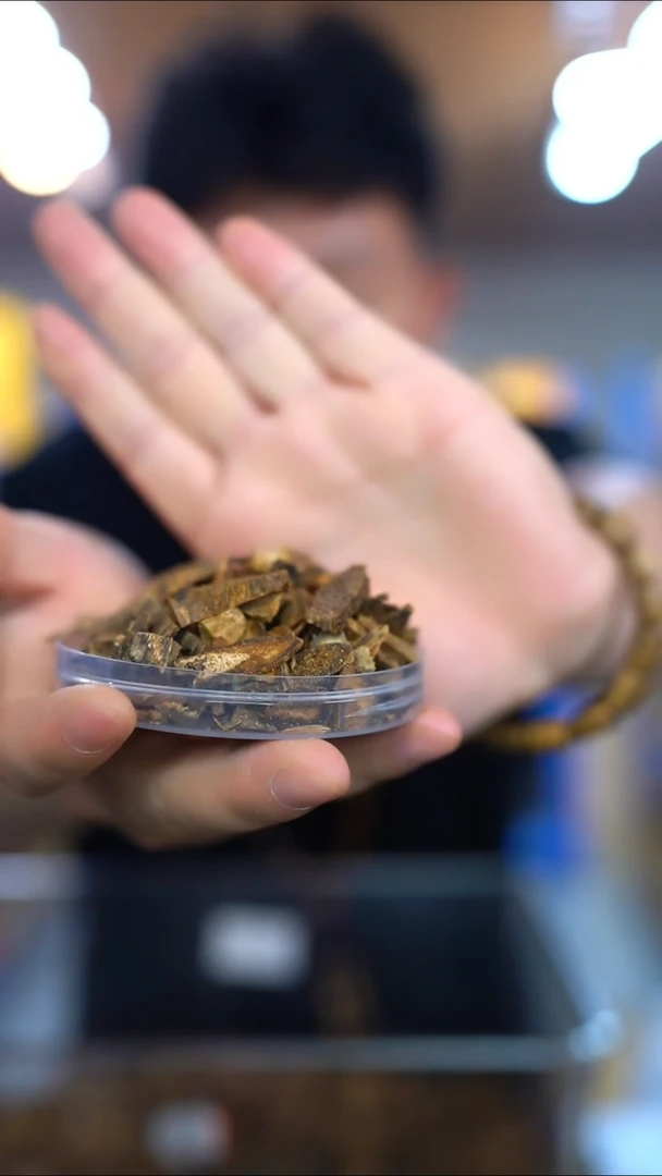 沉香碎屑沉香命根子原材料50克